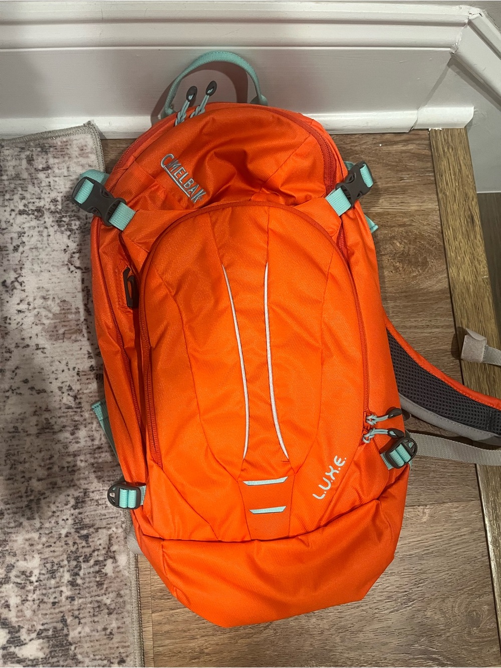 CamelBak Orange Backpack with Mint Trim